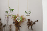 Hyindoor Geometric Hanging Vase Hydroponics Glass Vase Flower Vase Plant Hanging Terrarium Decorative Vase (3 Pack)
