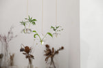 Hyindoor Geometric Hanging Vase Hydroponics Glass Vase Flower Vase Plant Hanging Terrarium Decorative Vase (3 Pack)