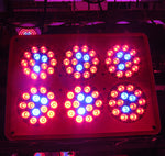 198W-209W High Quality Full Spectrum LED Grow Lights for Indoor Plant